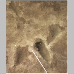 px85b-7-24 dodm2.jpg